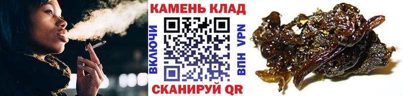 гидра tor  Кудрово  ГАШИШ гарик 