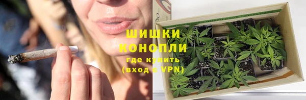 сатива Белоозёрский