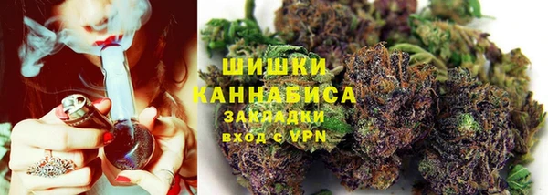 дживик Беломорск