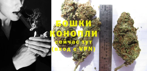 сатива Белоозёрский