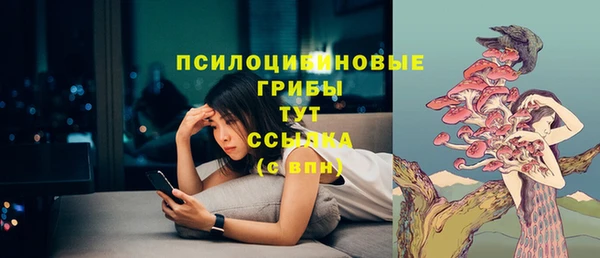 сатива Белоозёрский