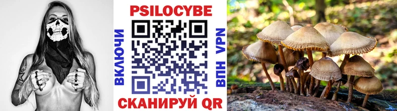 blacksprut вход Кудрово Галлюциногенные грибы мицелий купить наркотик