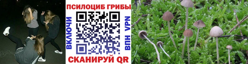 Псилоцибиновые грибы MAGIC MUSHROOMS Кудрово
