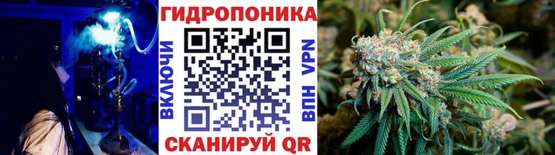 Бошки марихуана White Widow  Кудрово 